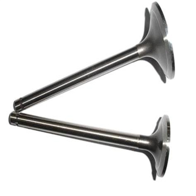 Standard Size Steel Intake Exhaust Valve for QC480 Auto Spare Parts 2408000300800-c