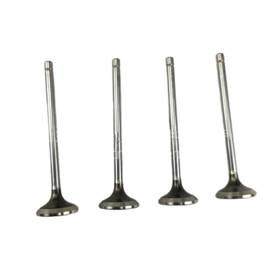 Standard Size Steel Intake Exhaust Valve for QC480 Auto Spare Parts 2408000300800-c
