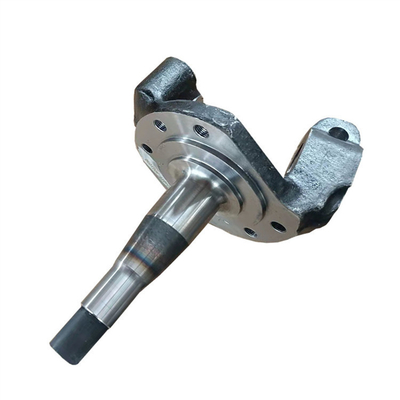 Steering Knuckle for Original Jac 1040 Motors Spare Parts 3001200n in 2014-