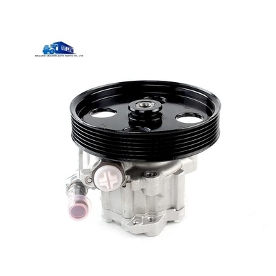 Yunnei D19 Engine Steering Booster Pump X197091 Steering Oil Pump for Replace/Repair