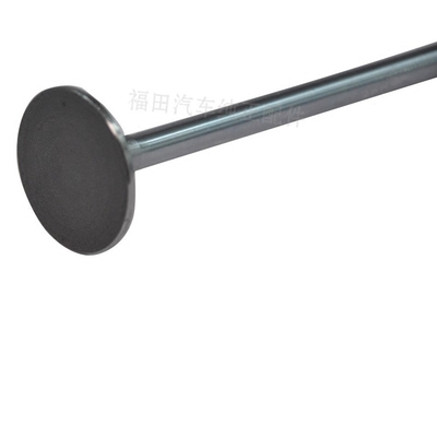 2015 SUNRAY Bus Foton Truck Parts Intake And Exhaust Valve ISF3.8